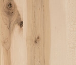 Rustic Red Leaf Maple